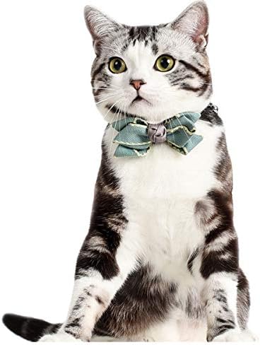 Денот На благодарноста Мала Куче Мачка Јака Со Стилски Лак Јазол вратоврска Ѕвона И Безбедност Брава Шарм Лакови