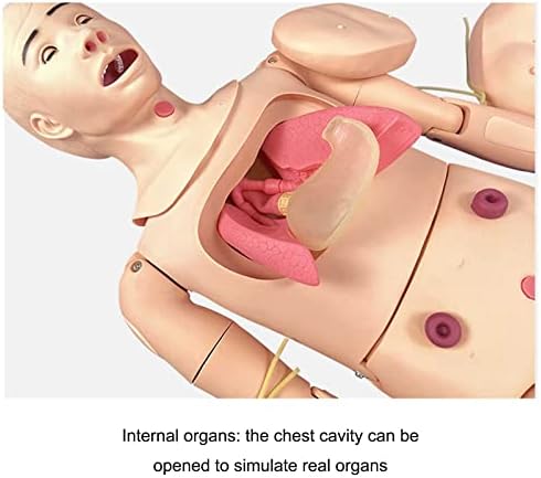 160см Медицински манекен за возрасни целосни тела CPR Обука за маникин во ПВЦ медицинска обука настава маникин за едукација