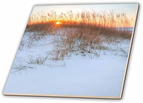 3Drose Mike Shindle Photography - пејзажи - сонце изгрева зад песочна дина - плочки